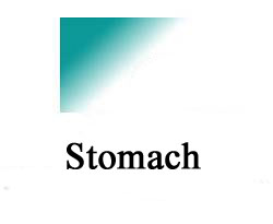 stomach, ulcers